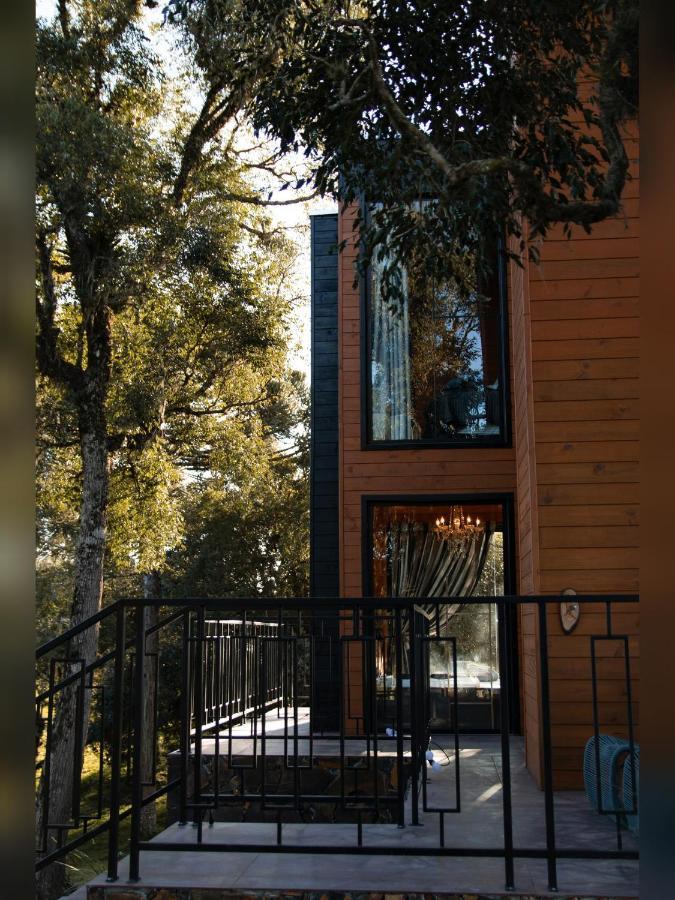 Cabana Horses La Contemporanea Proximo A Cidade E Vista Ponto Turistico Pedra Morro Do Campestre Urubici Exterior foto